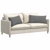 vidaXL Sofa Kussens 2 stuks Donkergrijs 80 x 40 cm Stof