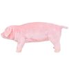 Miniatuurafbeelding van het product 2 van 5