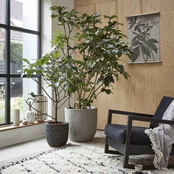 Capi Bloempot Nature Row 35x34 cm antraciet KRWZ932