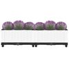 Miniatuurafbeelding van het product 3 van 9