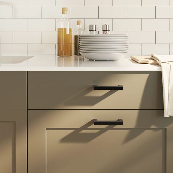 vidaXL Handvatten 20 st 96 mm roestvrij staal zwart