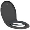 vidaXL Toiletzitting Antraciet 47 x 37 x 4 cm Duroplast