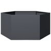 vidaXL Plantenbak zeshoek 104x90x45 cm staal antracietkleurig