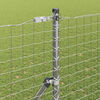 Miniatuurafbeelding van het product 3 van 9