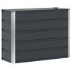 vidaXL Plantenbak Antraciet 100 x 40 x 75 cm Staal