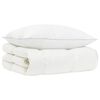 vidaXL 90% ganzen dons dekbedset FULDA 2 st 135 x 200 cm 210 GSM Wit