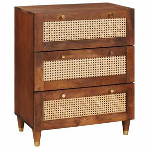 vidaXL Dressoir Bruin 60 x 33 x 75 cm Massief Mango Hout