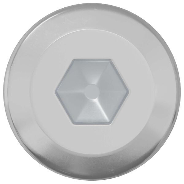 vidaXL Slotschroef Effen 2 pcs Zilver M6 x 12 mm Staal