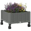 Miniatuurafbeelding van het product 3 van 8