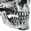 Miniatuurafbeelding van het product 7 van 8