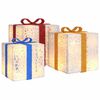 vidaXL Kerstfiguur cadeaudoos 3 st verlicht 64 warmwitte LED's