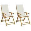 vidaXL Tuinstoelen 2 st inklapbaar met kussens bamboe