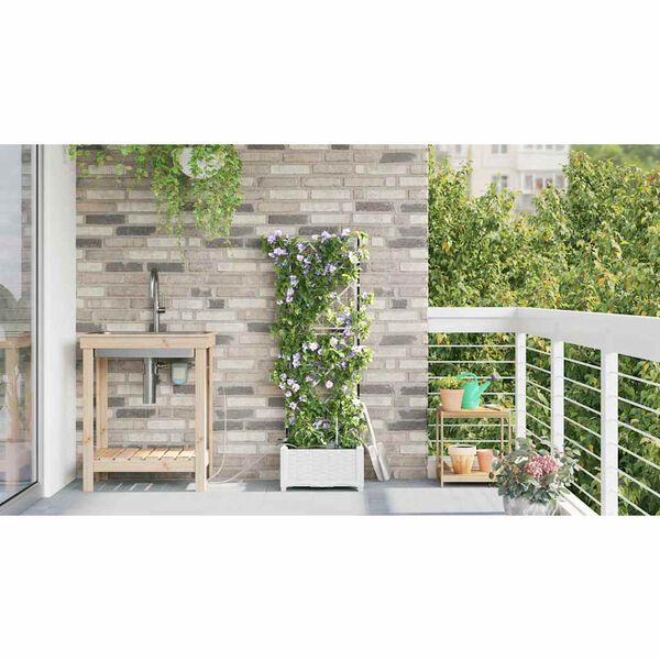 Productafbeelding 4 van 17