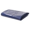 vidaXL Dekzeil 650 g/m&sup2; 6x8 m blauw