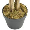 Miniatuurafbeelding van het product 3 van 4