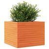 vidaXL Plantenbak 60x60x46 cm massief grenenhout wasbruin