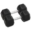 vidaXL Halters 2 st 10 kg totaal gietijzer