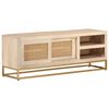 vidaXL Tv-meubel 110x30x40 cm massief ruw mangohout en ijzer