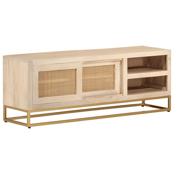 vidaXL Tv-meubel 110x30x40 cm massief ruw mangohout en ijzer