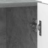 Miniatuurafbeelding van het product 11 van 13