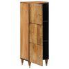 vidaXL Hoge kast 40x33x110 cm massief mangohout