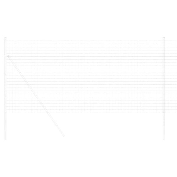 vidaXL Euro Hek 1 x 10 m PVC-gecoat ijzer