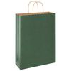 vidaXL Papieren zakken 250 st met hengsels 32x12x42 cm groen