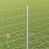Miniatuurafbeelding van het product 4 van 7