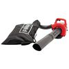 Scheppach Bladblazer LBH2600P 1,0 pk
