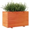 vidaXL Plantenbak 110x60x72 cm massief grenenhout wasbruin