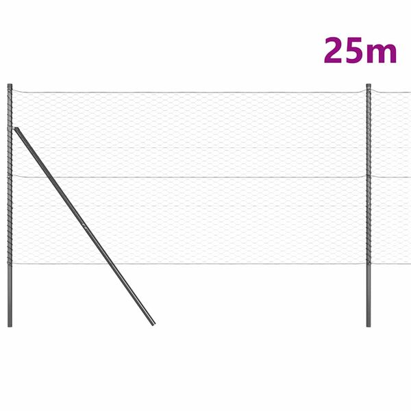 Productafbeelding 3 van 17