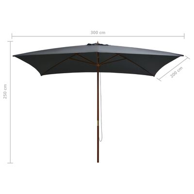 vidaXL Parasol met houten paal 200x300 cm antraciet online kopen |