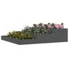 Miniatuurafbeelding van het product 3 van 7