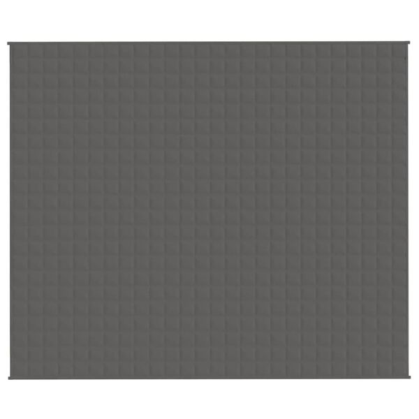 vidaXL Verzwaringsdeken 220x260 cm 15 kg stof grijs