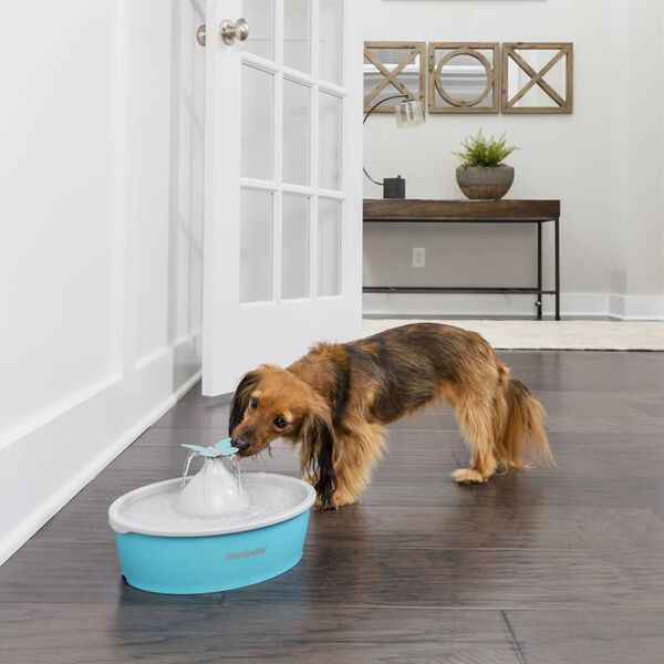 PetSafe Drinkfontein voor huisdieren Drinkwell vlinder 1,5 L