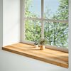 vidaXL Vensterbanken 2 st 100x40x2 cm massief eikenhout lichtbruin