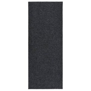 vidaXL Droogloopmat 100x250 cm antracietkleurig