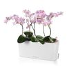 LECHUZA Plantenbak DELTA 10 ALL-IN-ONE hoogglans wit