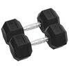 vidaXL Halters 2 st 25 kg totaal gietijzer