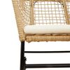 vidaXL Tuinstoelen 2 st met kussens poly rattan bruin