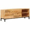 vidaXL Opslagkasten Bruin 110 x 30 x 40 cm Massief Mango Hout