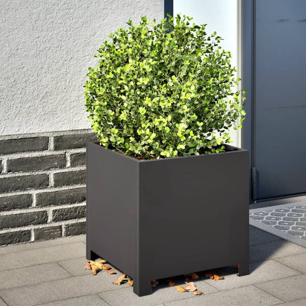 Productafbeelding 2 van 12