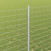 Miniatuurafbeelding van het product 4 van 11