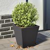 Miniatuurafbeelding van het product 2 van 12