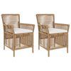 vidaXL Buitenstoel 2 st Beige en Cr&egrave;me poly rattan