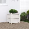 Miniatuurafbeelding van het product 2 van 11