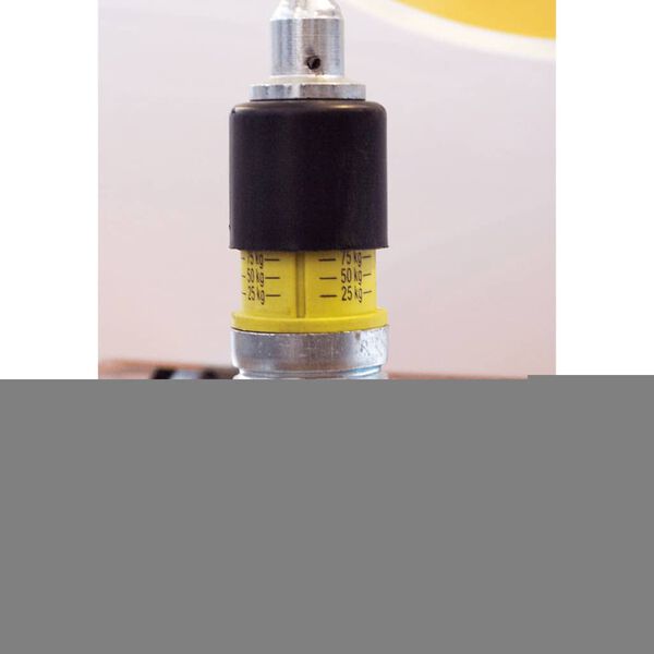 ProPlus neuswiel 22 x 6,5 cm 341510