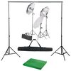 vidaXL Fotostudioset met verlichtingsset en achtergrond
