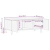 vidaXL Salontafels Bruin 100 x 54 x 40 cm Bamboe en massief mango hout