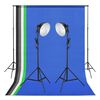 vidaXL Studioset met lampen en achtergronden